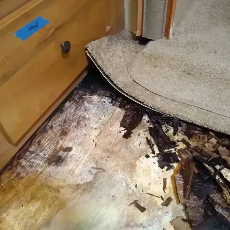 Wood Floor Water Damage in Clayton County, GA